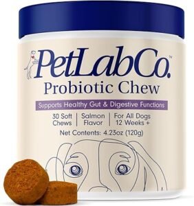 Probiotics for Dogs (Review 2026)