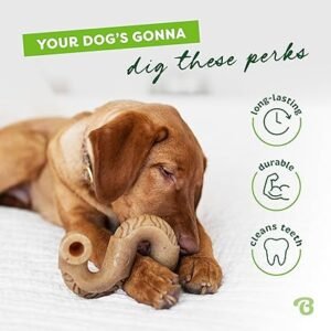 Ultimate Tripe Bone Durable Dog Chew Toy Review (2026 Guide)